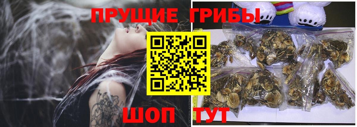 Галлюциногенные грибы прущие грибы Серов