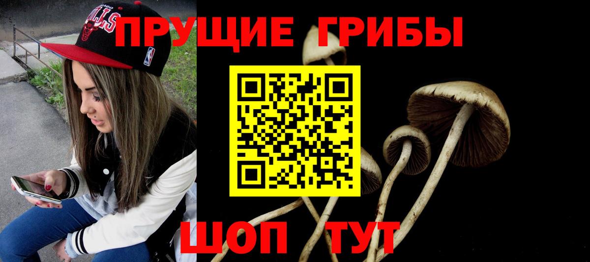 Серов  Псилоцибиновые грибы Magic Shrooms  Вход с VPN 